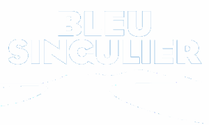 Bleu Singulier - Logo